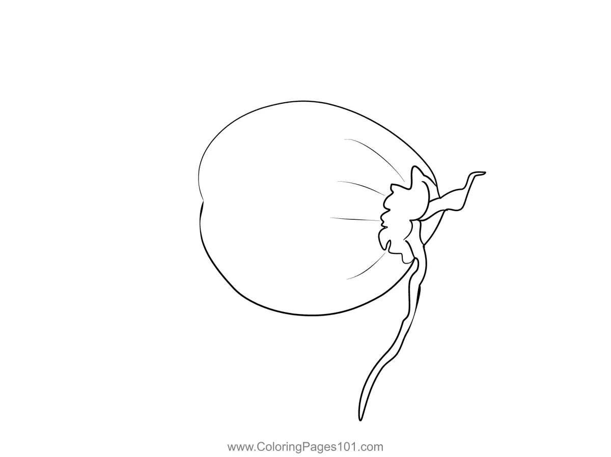 Coconut Coloring Pages 6