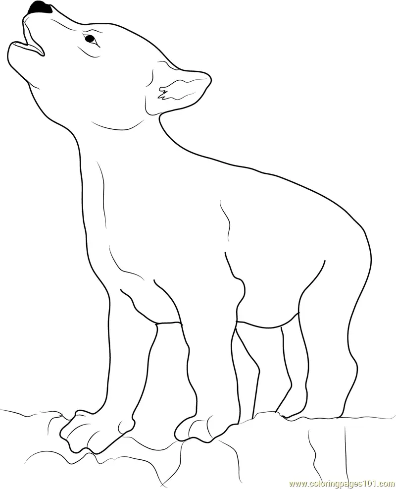 Coyote Coloring Pages 1