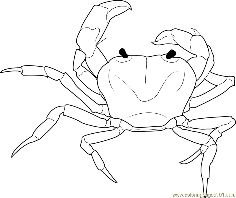 Crab Coloring Pages 10