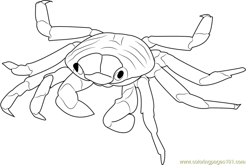 Crab Coloring Pages 8