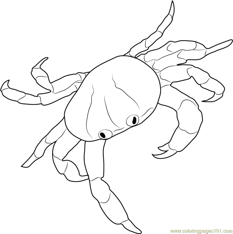Crab Coloring Pages 9