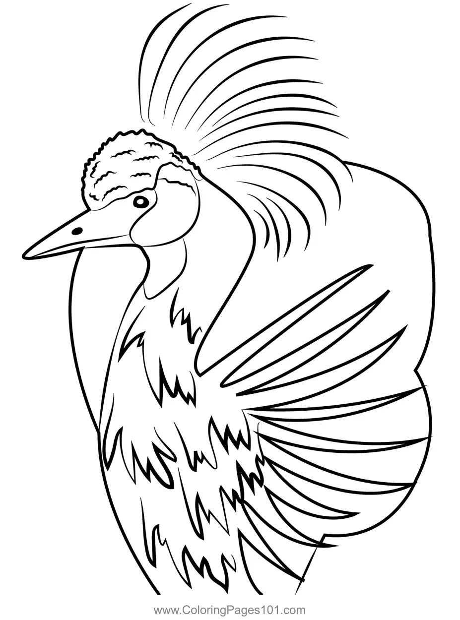 Cranes Coloring Pages 1