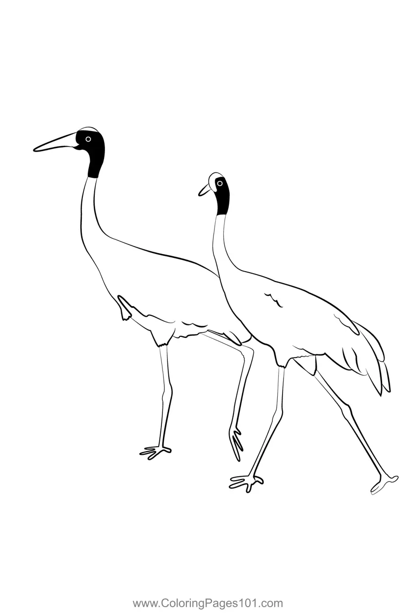 Cranes Coloring Pages 2