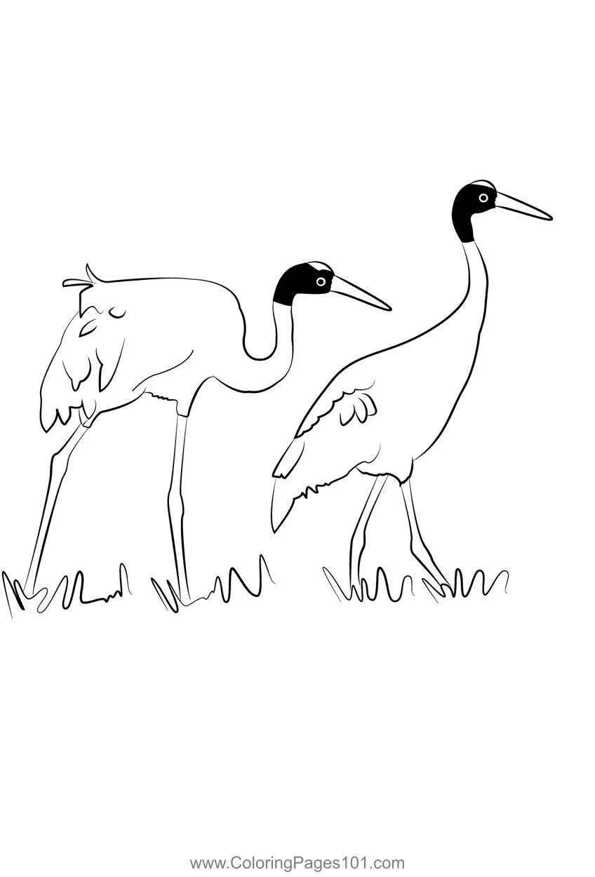 Cranes Coloring Pages 4
