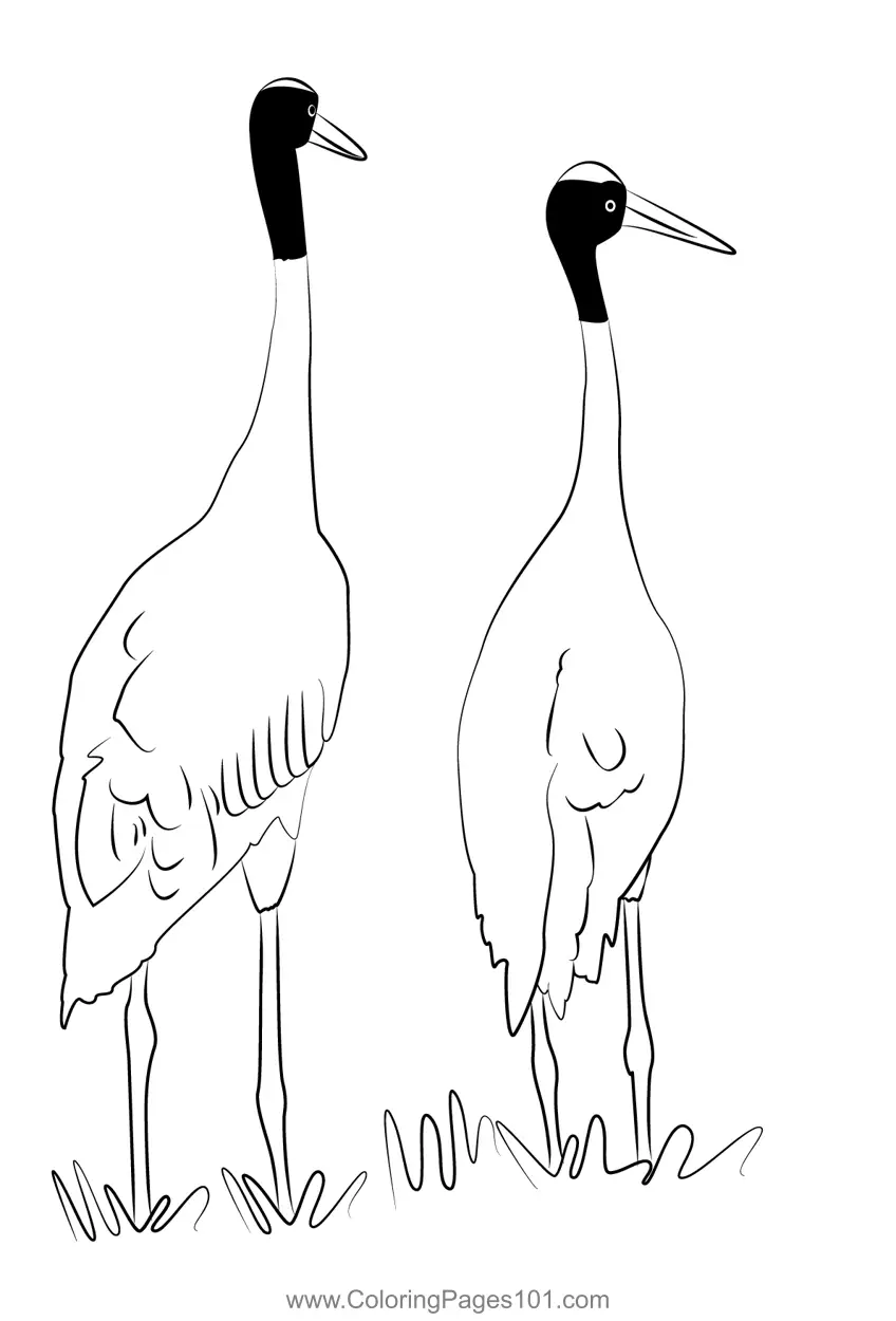 Cranes Coloring Pages 5