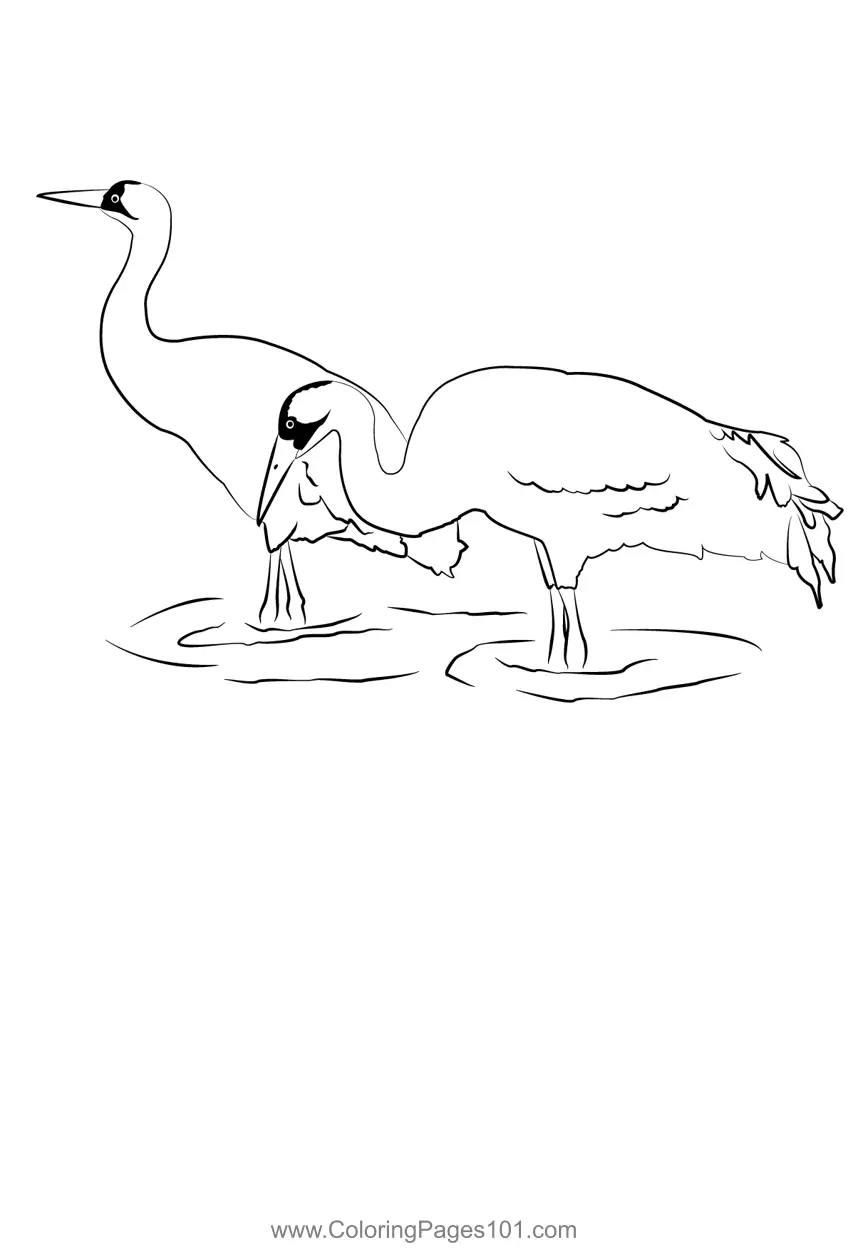 Cranes Coloring Pages 6