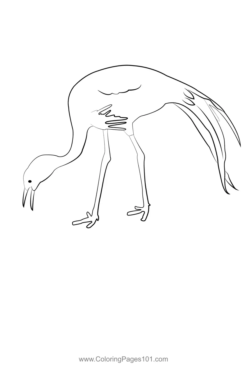 Cranes Coloring Pages 7