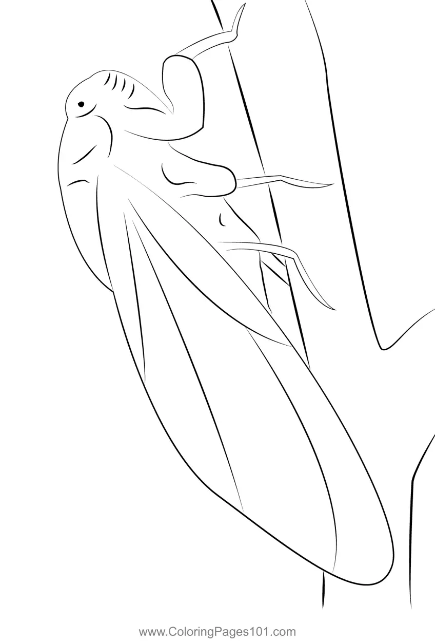 Crickets Coloring Pages 4