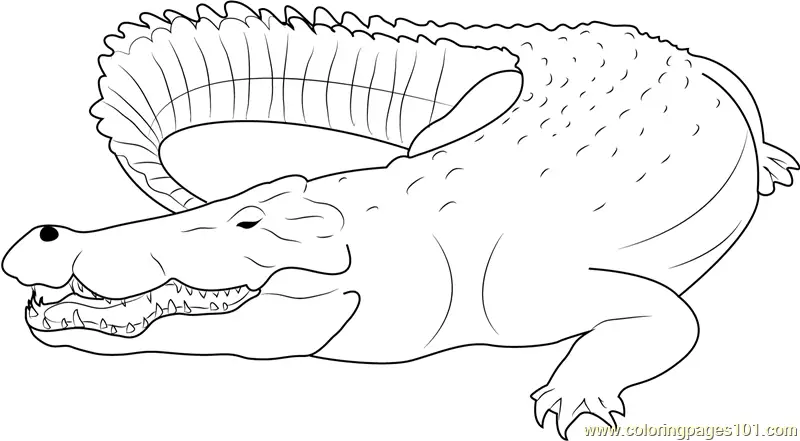 Crocodiles Coloring Pages 2