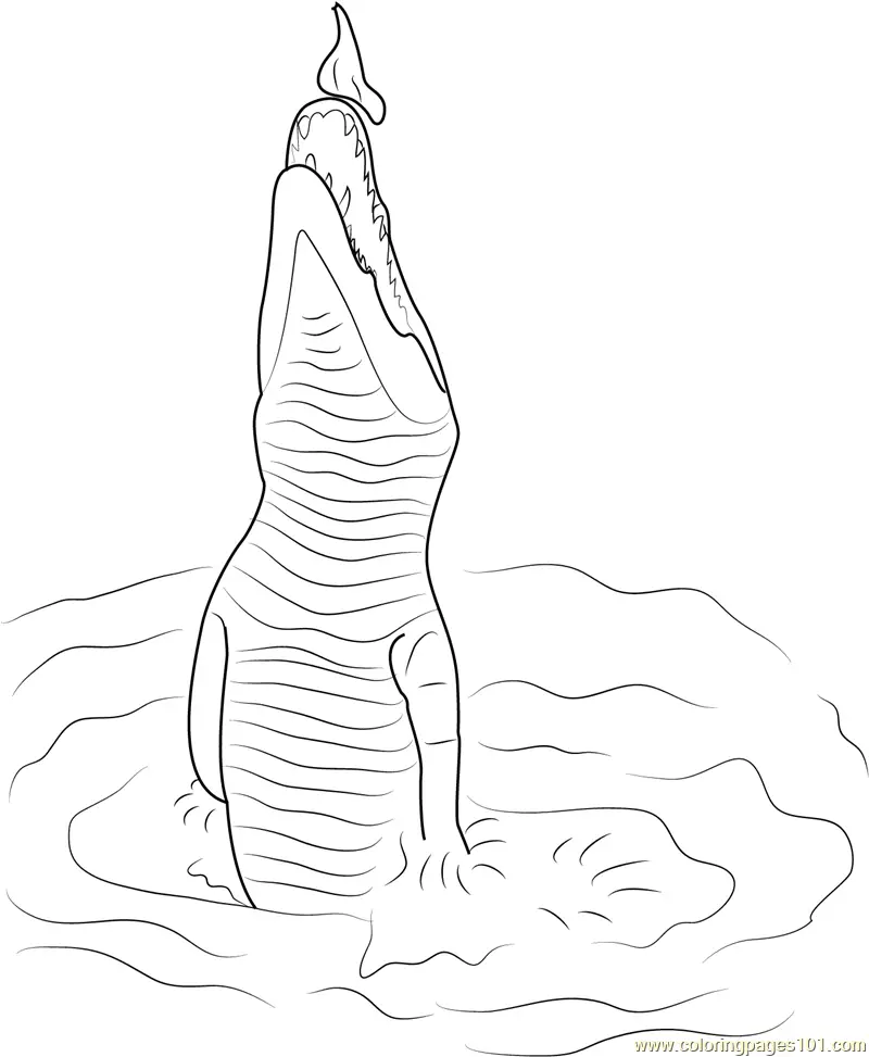 Crocodiles Coloring Pages 6