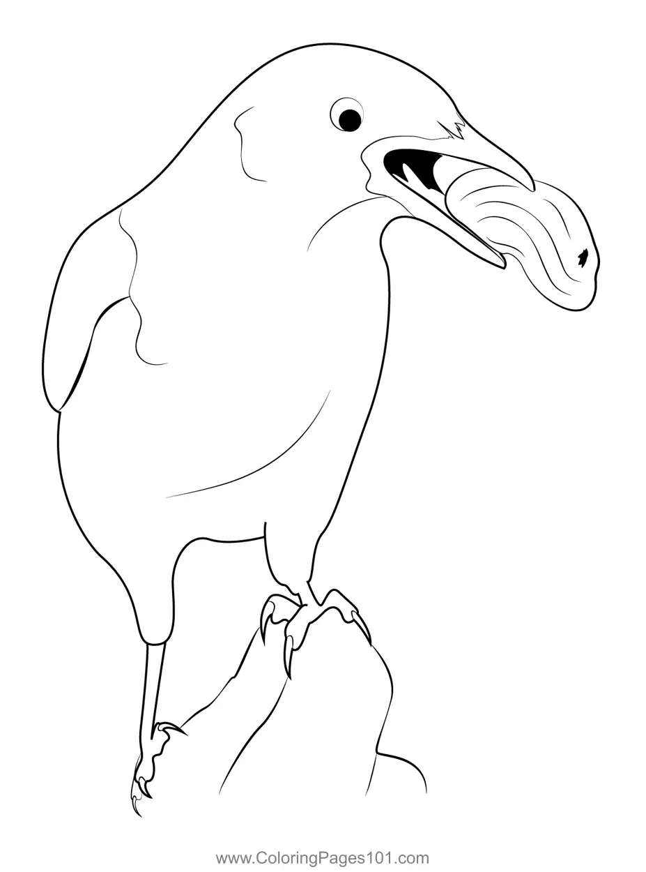 Crows Coloring Pages 1