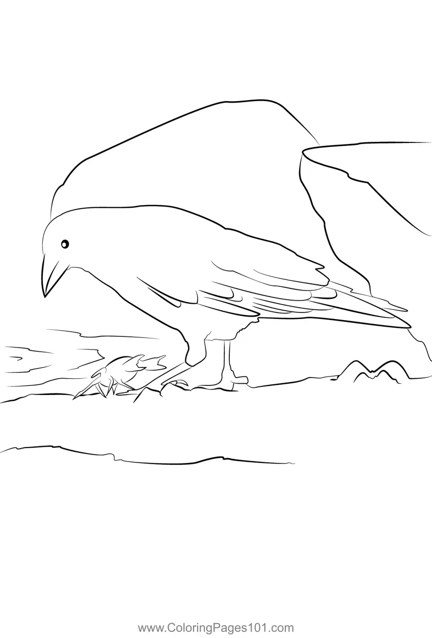 Crows Coloring Pages 11