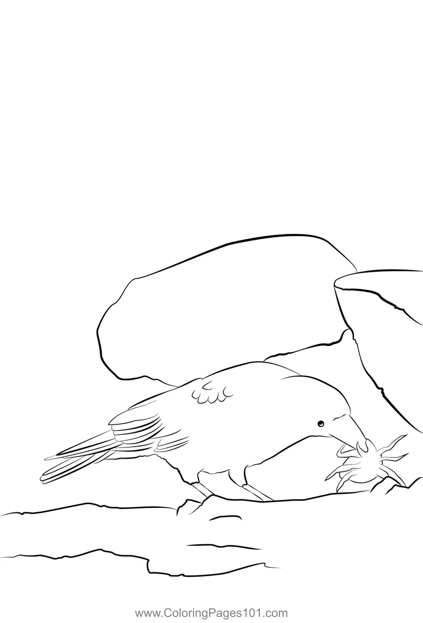 Crows Coloring Pages 12
