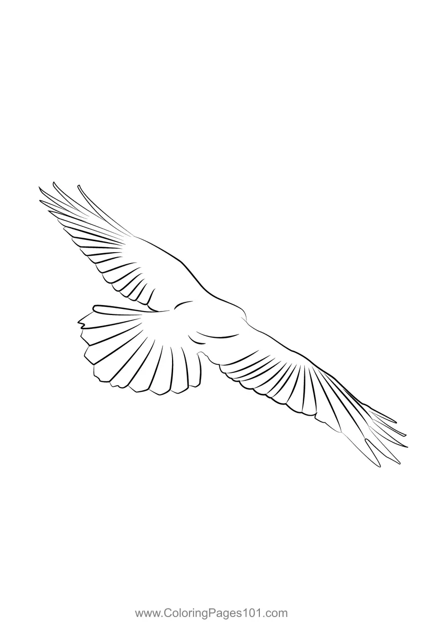 Crows Coloring Pages 3