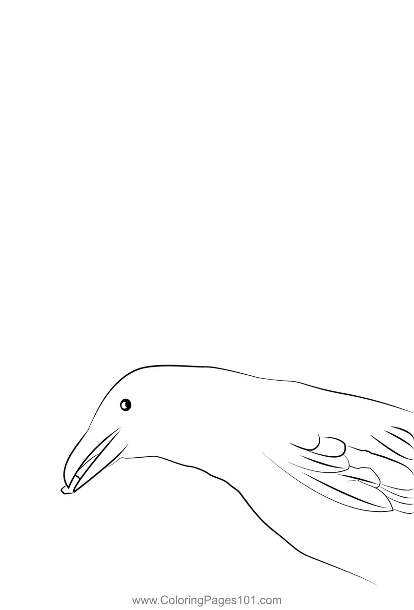 Crows Coloring Pages 5