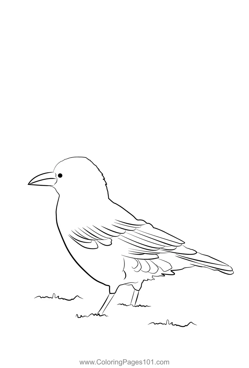 Crows Coloring Pages 7