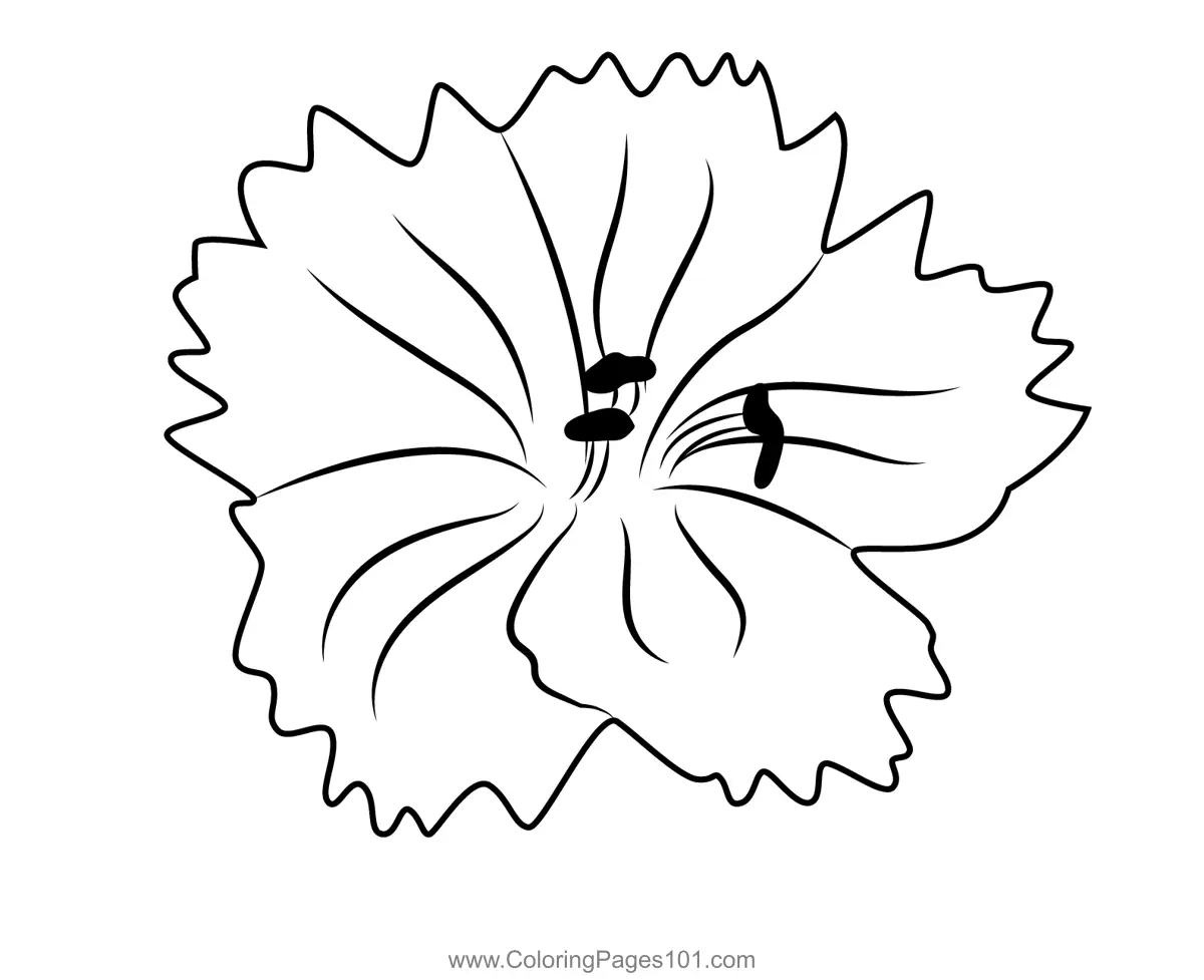 Daffodils Coloring Pages 1