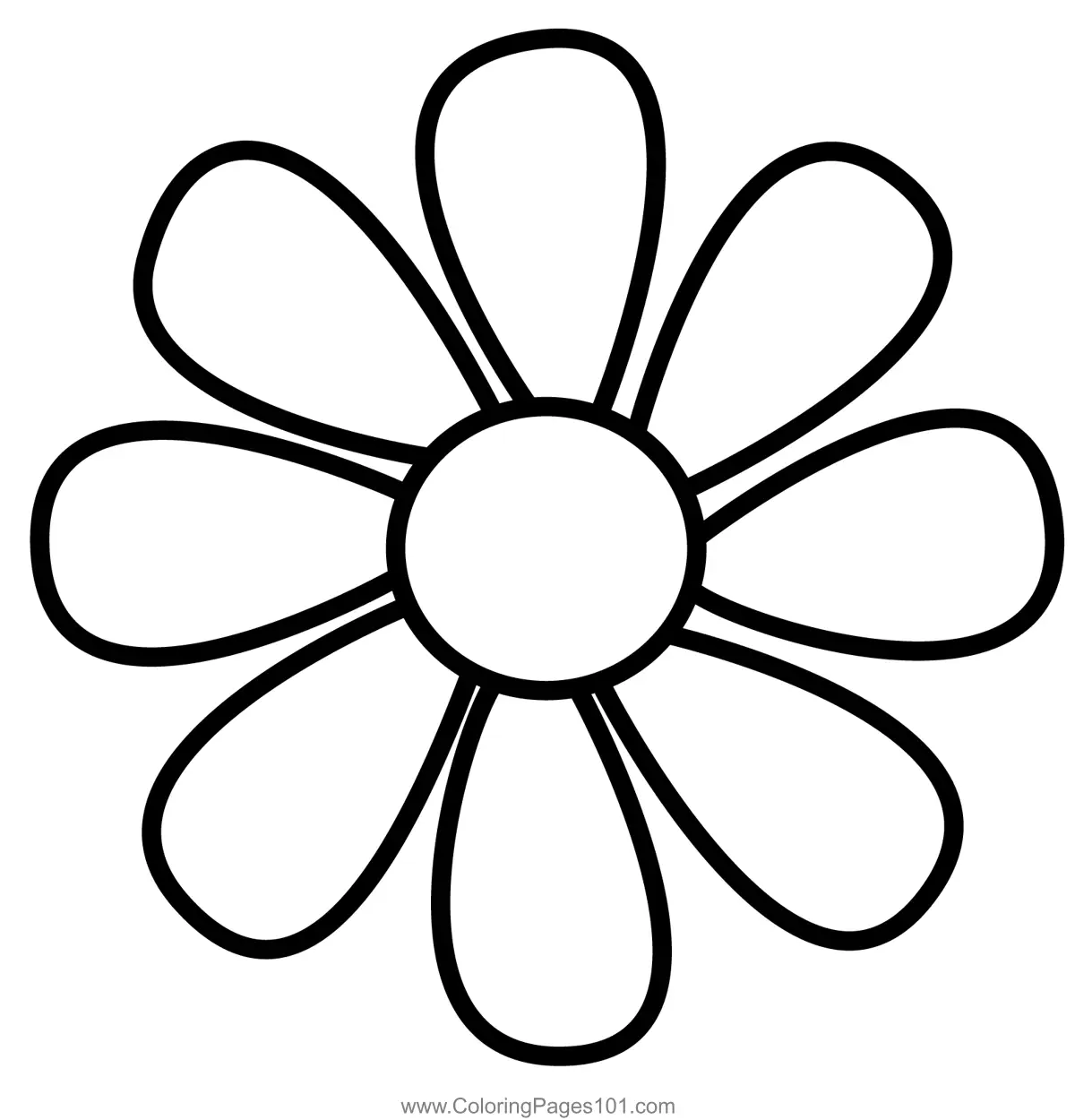 Daisies Coloring Pages 10