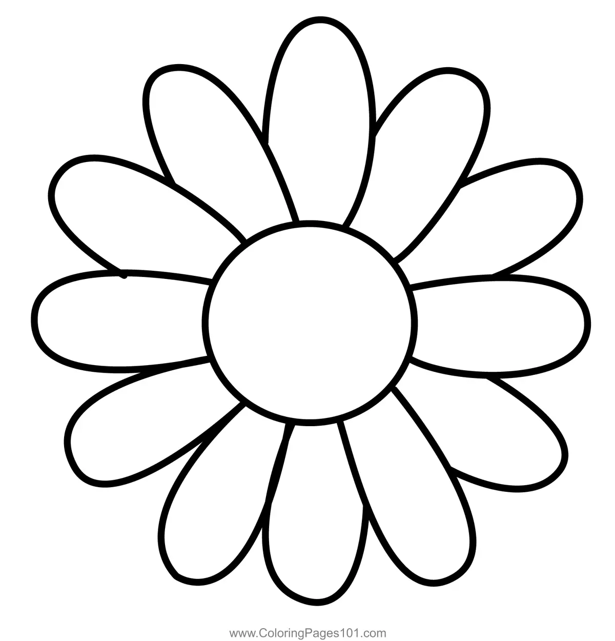 Daisies Coloring Pages 11