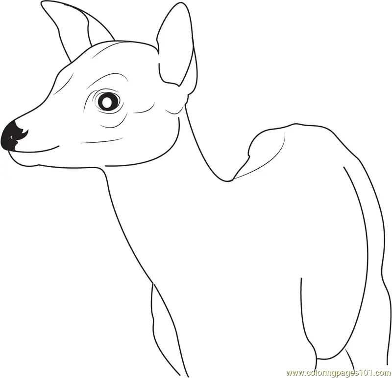 Deer Coloring Pages 3