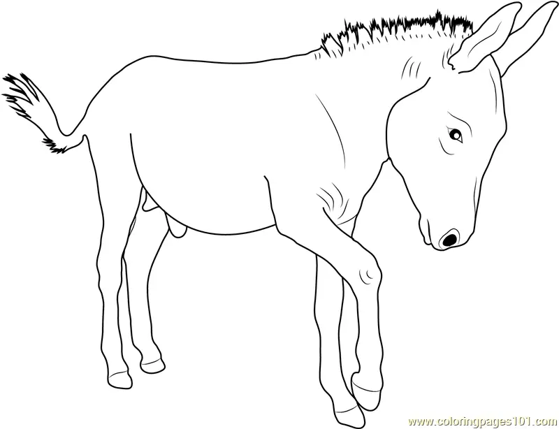 Donkey Coloring Pages 1