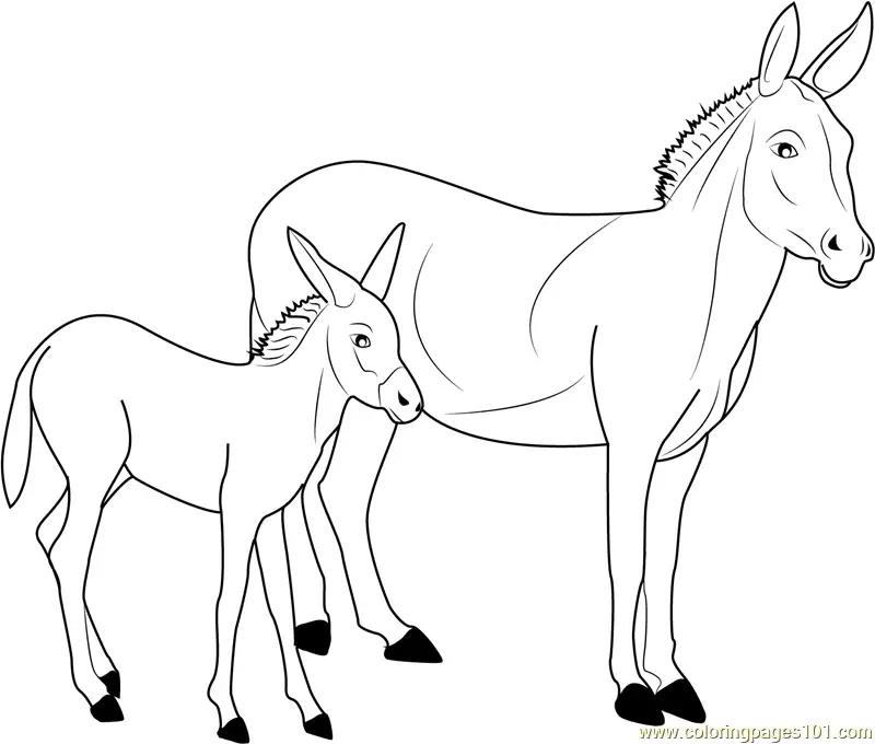 Donkey Coloring Pages 11