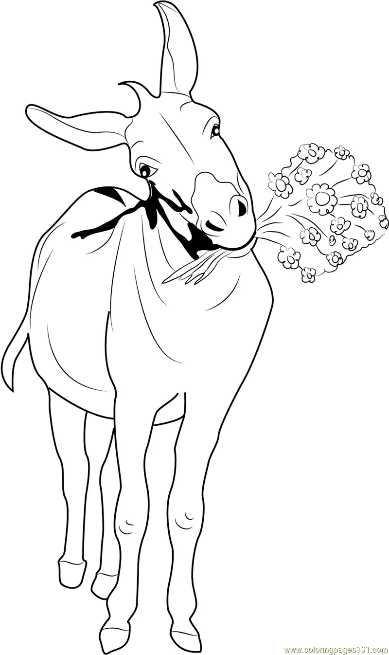 Donkey Coloring Pages