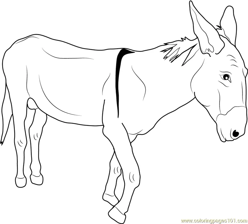 Donkey Coloring Pages 2