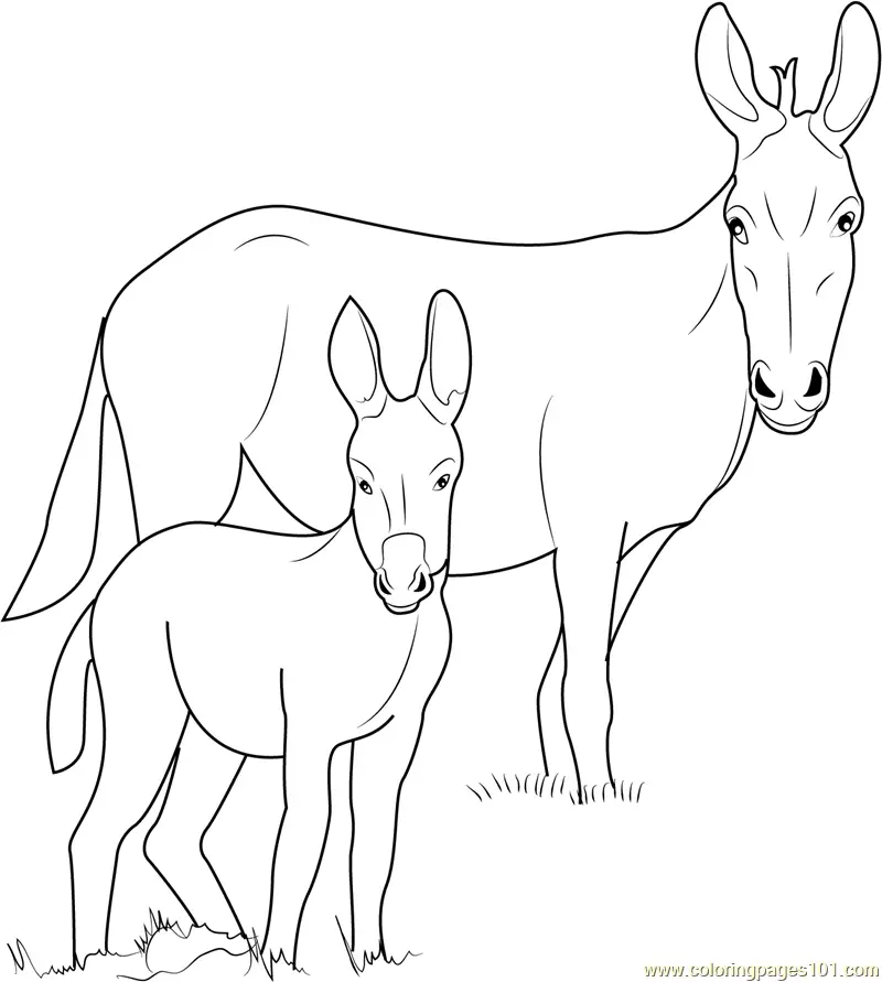 Donkey Coloring Pages 3