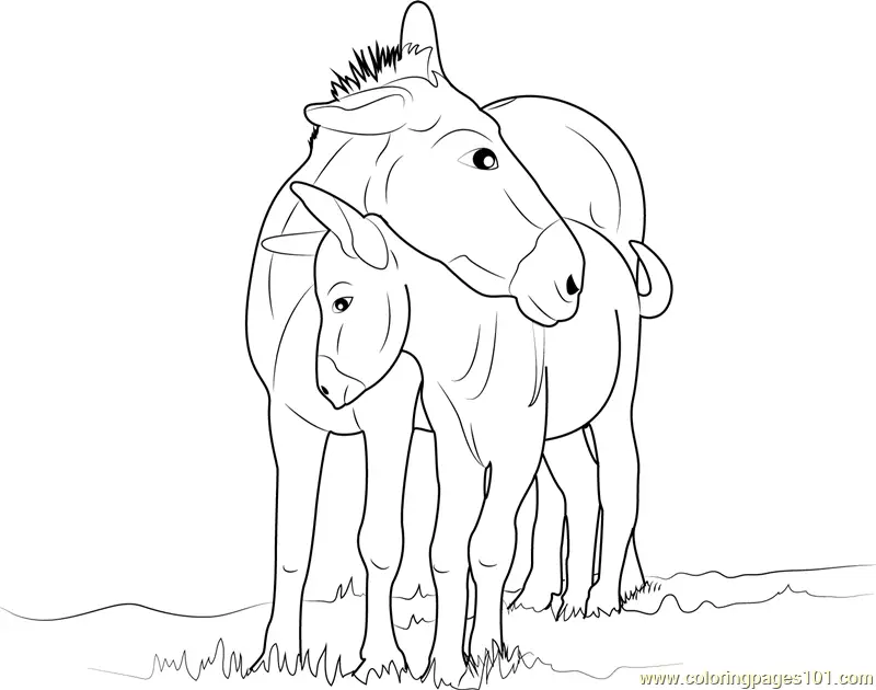 Donkey Coloring Pages 4