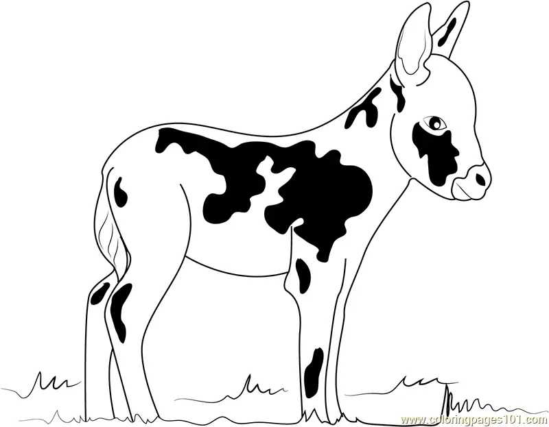 Donkey Coloring Pages 5