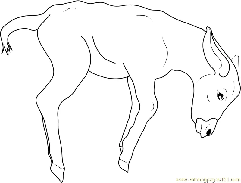 Donkey Coloring Pages 6