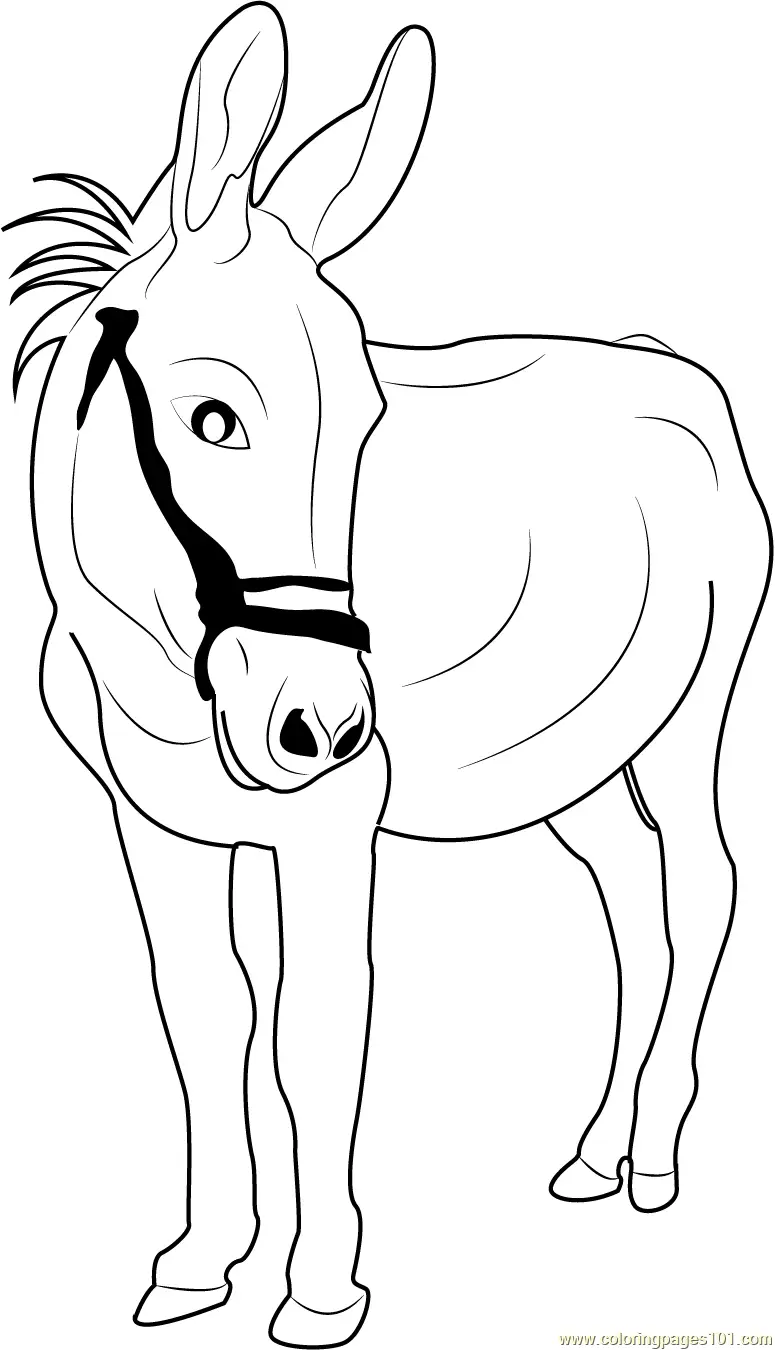 Donkey Coloring Pages 7