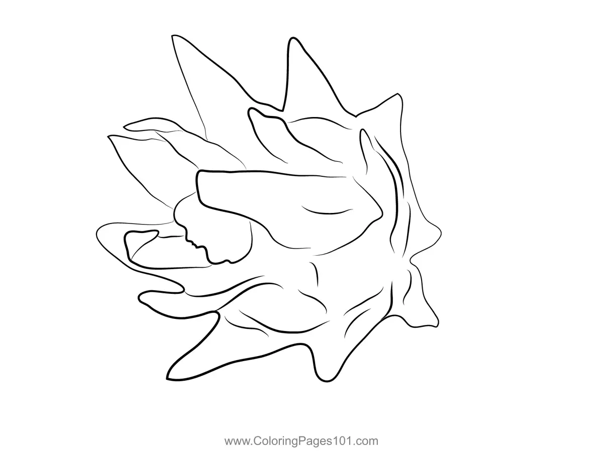 Dragon Fruit Coloring Pages 11