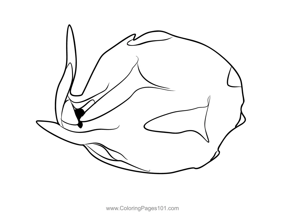 Dragon Fruit Coloring Pages 7