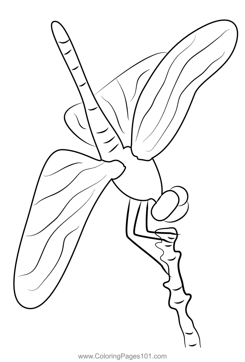 Dragonflies Coloring Pages 6
