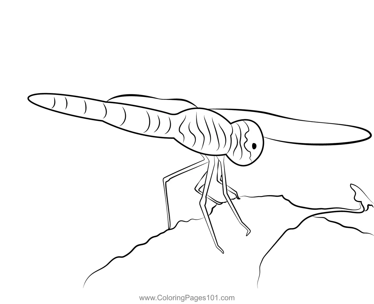 Dragonflies Coloring Pages 7