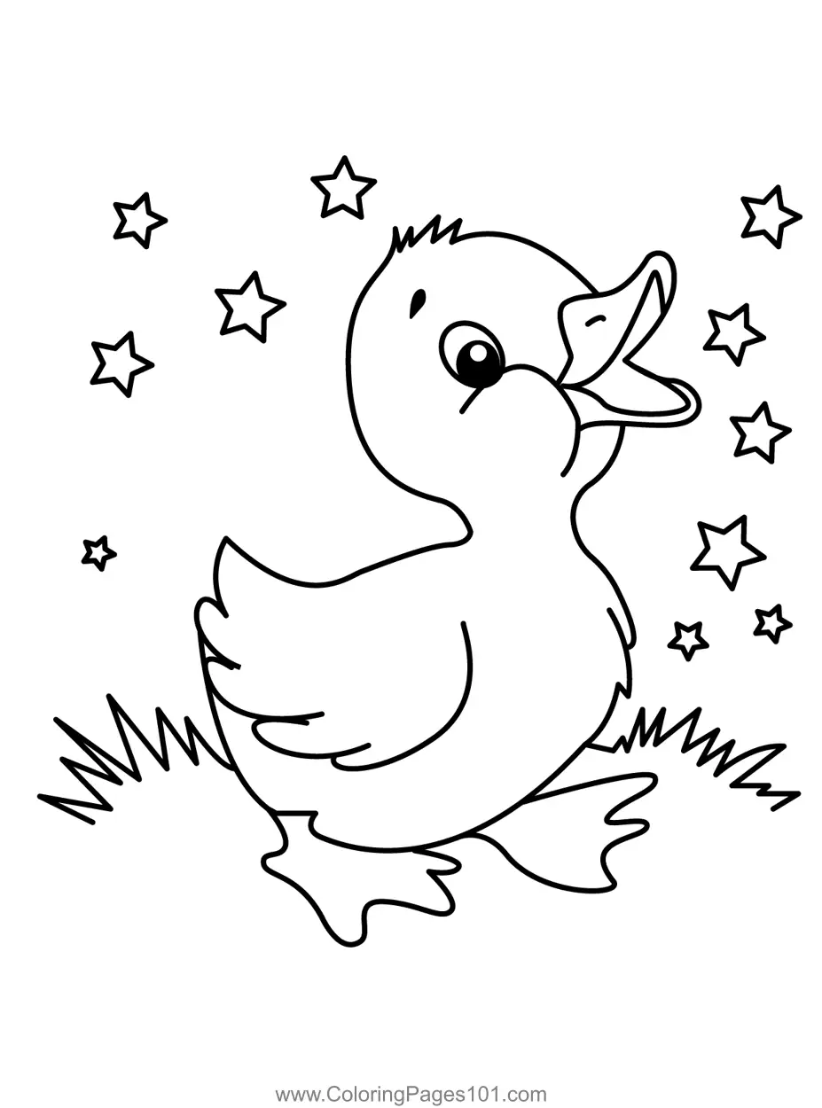 Ducks Coloring Pages 1