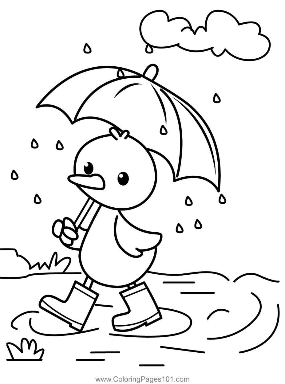 Ducks Coloring Pages 10