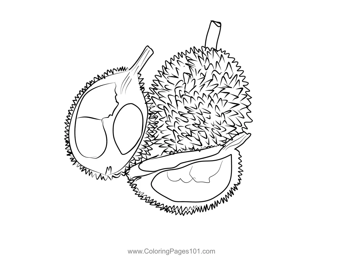 Durian Coloring Pages 10