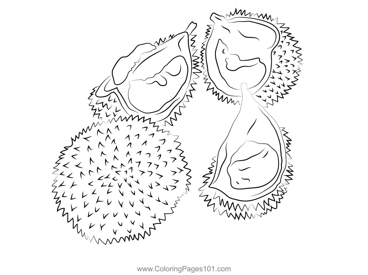 Durian Coloring Pages 2