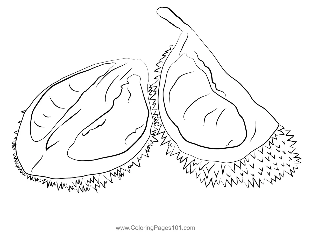 Durian Coloring Pages 3