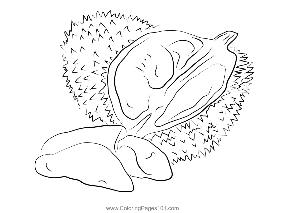 Durian Coloring Pages 5