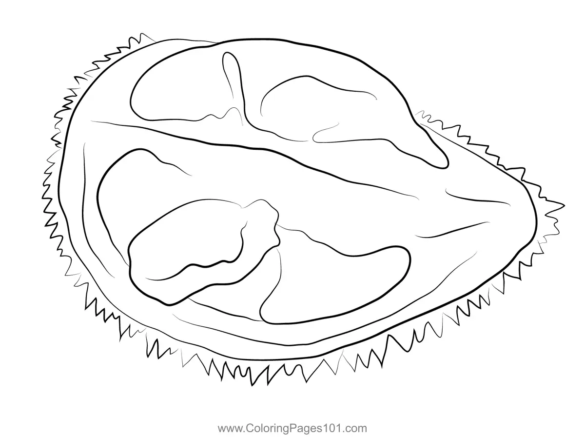 Durian Coloring Pages 6