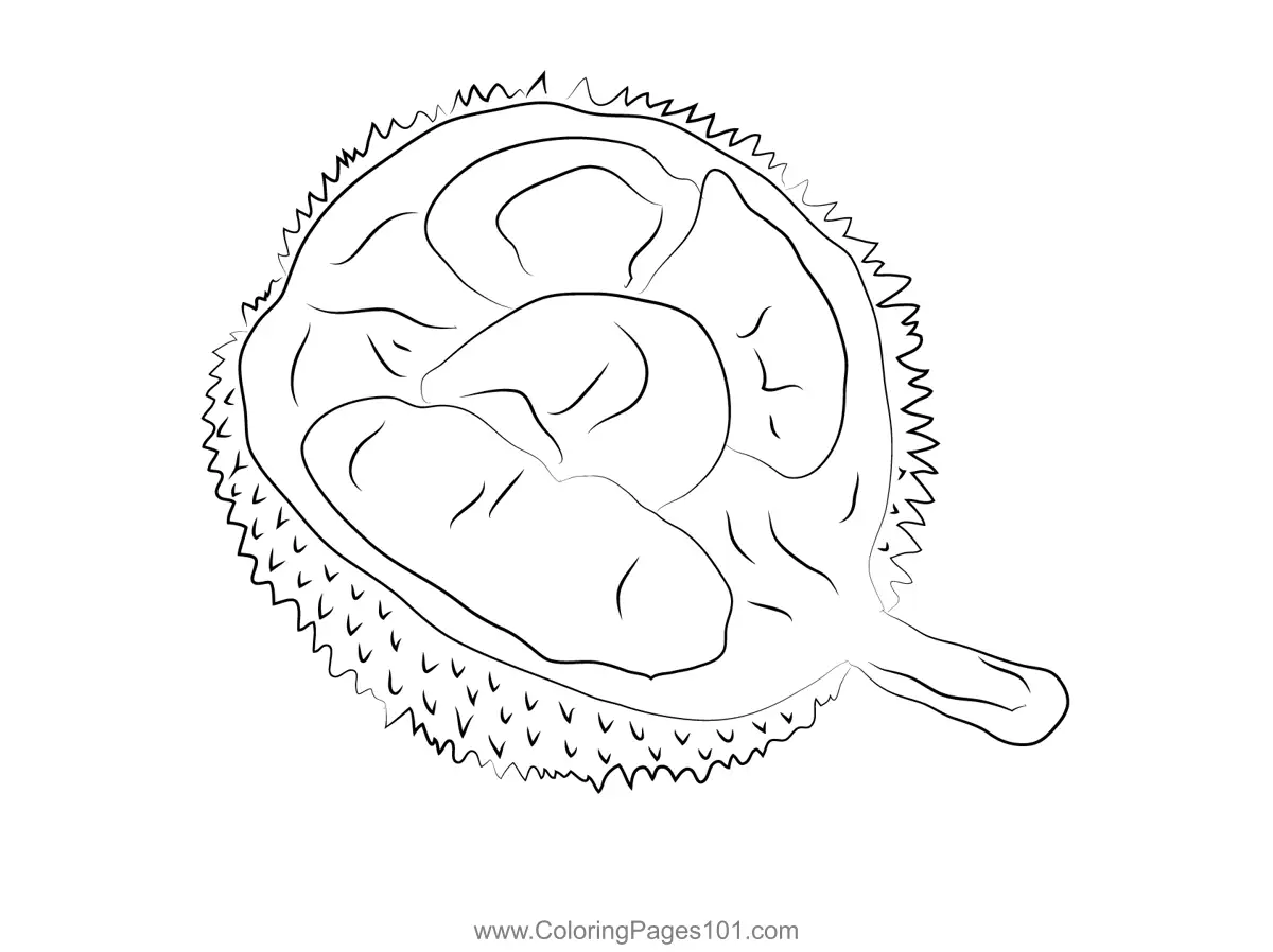 Durian Coloring Pages 8
