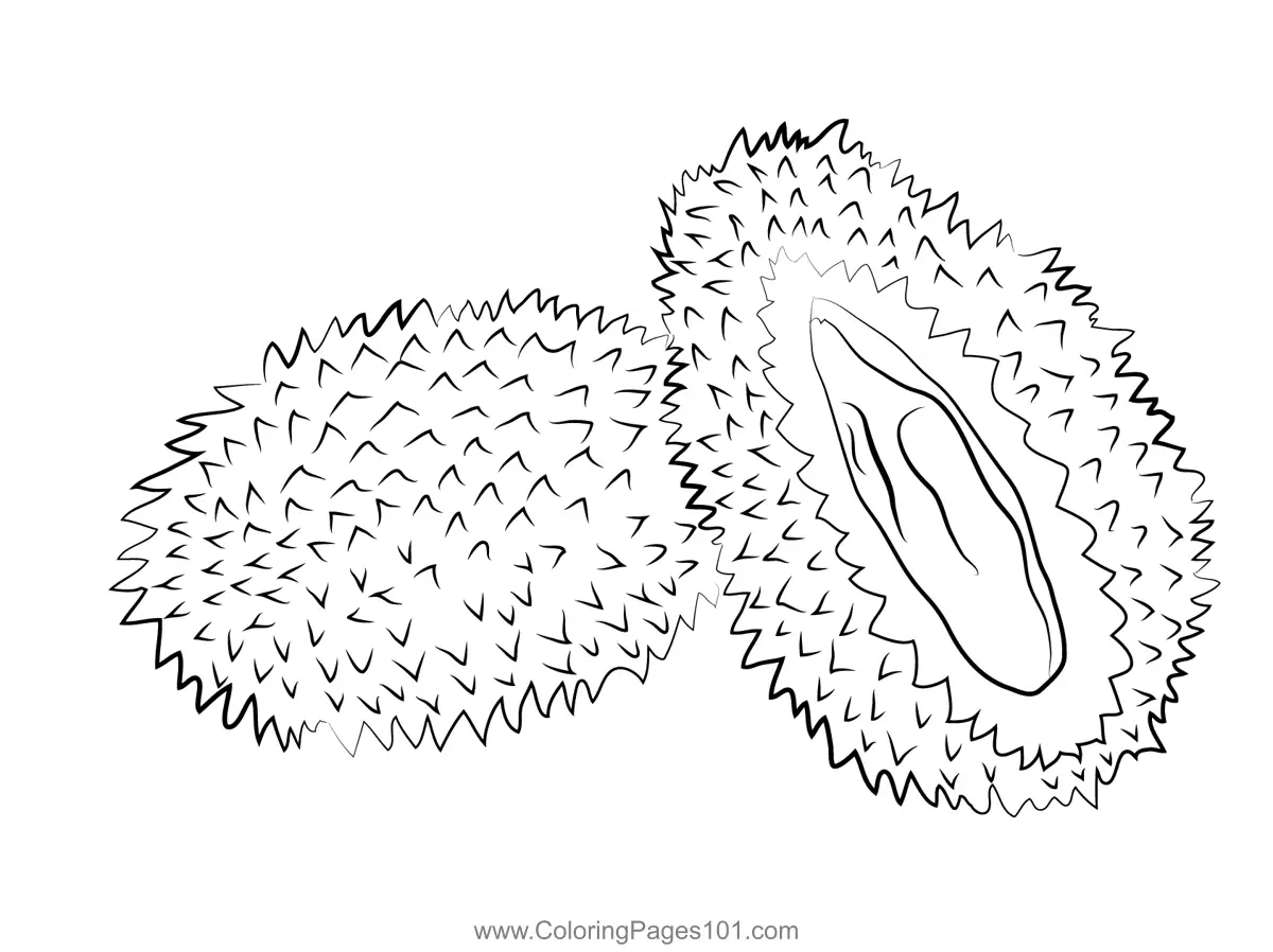 Durian Coloring Pages 9