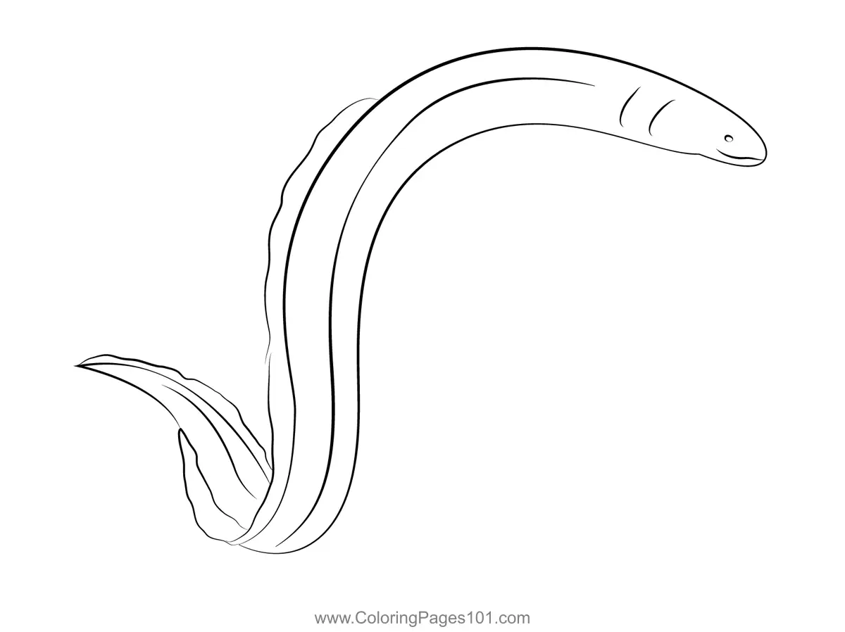 Eels Coloring Pages 1