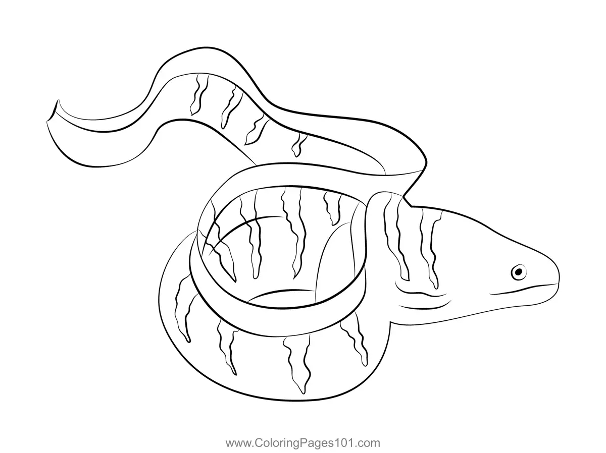 Eels Coloring Pages 3