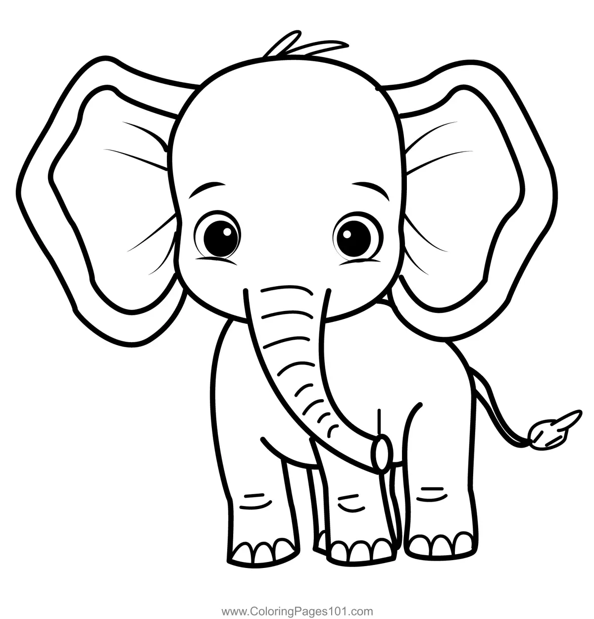Elephant Coloring Pages 9