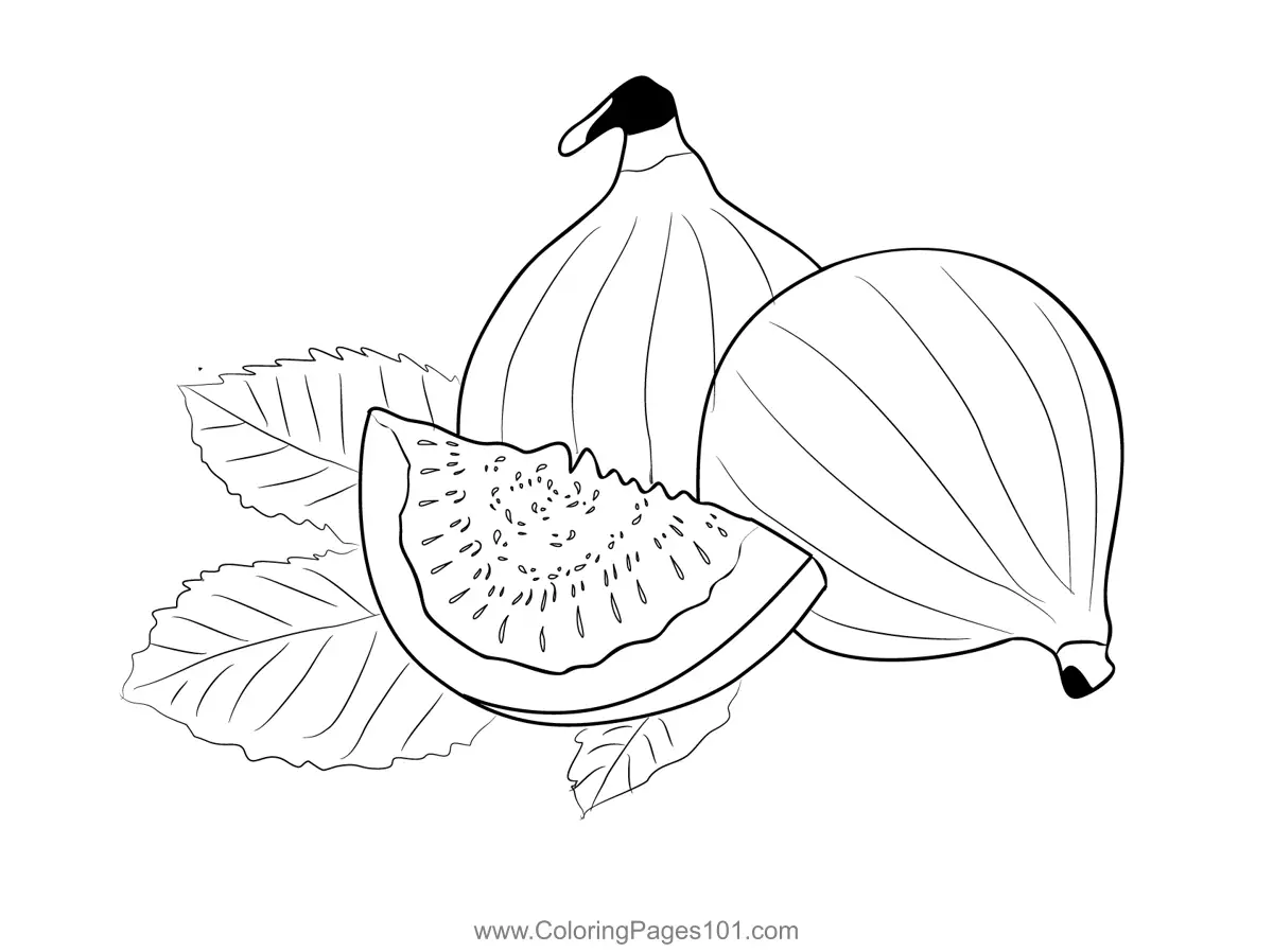 Fig Coloring Pages 10